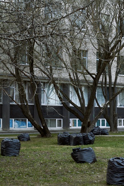 A row of black plastic rubbish bags filled with waste are scattered across a grassy area in front of a multi-storey residential building. The bags are gathered in small groups, some leaning against the trunks of leafless trees with dark, textured bark and sprawling branches that create a partial canopy overhead. The building behind features a modern design with large panels of windows, some with white frames and curtains, and a dark facade at ground level. The scene appears to be outdoors in a communal living space or courtyard during overcast weather, with natural, diffused lighting. The bags are likely prepared for collection through an independent waste disposal service, such as Waste Disposal Uxbridge, as part of private rubbish removal or on-site clearance. The environment suggests an effort to manage waste in a way that complements the surrounding urban setting and reduces reliance on municipal collection, aligning with alternative waste handling methods.