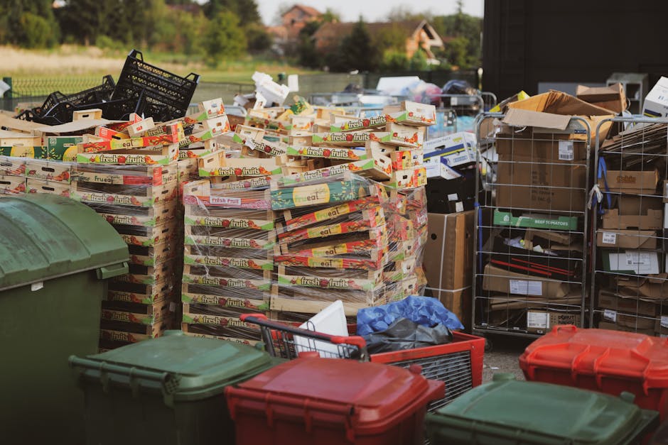 An outdoor scene featuring numerous stacks of cardboard fruit boxes labeled 'fresh fruits' arranged on a paved surface, with some boxes slightly overlapping or tilted. To the left, there are several large green and red wheelie bins with closed lids. Behind the boxes, there are metal cage-style containers filled with various flattened cardboard boxes and packaging materials, some with visible labels and barcodes. The background shows a rural environment with grass, trees, and distant houses under a clear sky, suggesting the area is part of a private property or waste collection site. The lighting is natural, highlighting the textures of the cardboard, the smooth surfaces of the bins, and the outdoor setting, all within the context of waste or rubbish disposal, reflective of private rubbish collection or on-site clearance services by Waste Disposal Uxbridge.